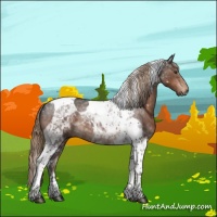 Horse Color:Liver Chestnut Tobiano 