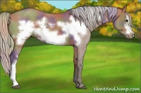 Horse Color:Nacre Silver Grullo Frame 