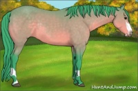 Horse Color:Watercolor Buckskin Splash Rabicano 