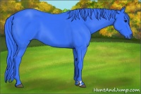 Horse Color:Watercolor Black 