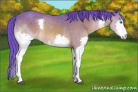 Horse Color:Watercolor Bay Splash 