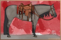 Horse Color:Grullo Rabicano 