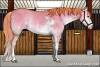 Horse Color:Watercolor Liver Red Dun Onyx Sabino Rabicano