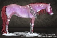 Horse Color:Watercolor White Spotted Liver Red Onyx Roan 