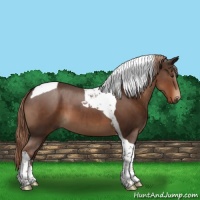 Horse Color:Liver Chestnut Tobiano 