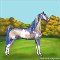 Horse Color:Watercolor White Spotted Liver Red Onyx