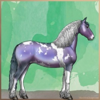 Horse Color:Watercolor White Spotted Liver Red Onyx Tobiano