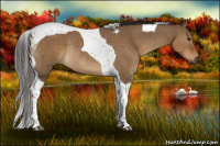 Horse Color:Gray Liver Red Dun Tobiano Rabicano