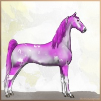 Horse Color:Watercolor White Spotted Liver Red Onyx Rabicano 