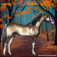 Horse Color:White Spotted Liver Red Onyx Sabino Rabicano 