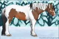 Horse Color:Bay Tobiano 