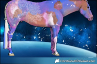 Horse Color:Silver Brown Ice Tobiano  and Watercolor White Spotted Bay Ice Tobiano 