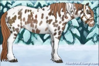 Horse Color:Liver Chestnut Tobiano Near Leopard 