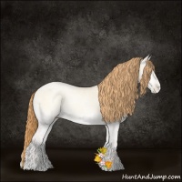 Horse Color:Buckskin Ice Roan Pearl Onyx