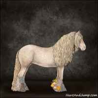 Horse Color:Chestnut Ice Pearl 