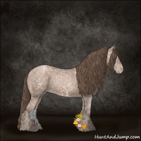 Horse Color:Black Ice Pearl 