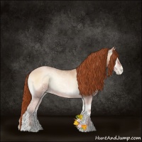 Horse Color:Buckskin Ice Pearl Onyx 