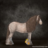 Horse Color:Black Ice Pearl 