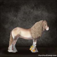 Horse Color:Liver Red Onyx Pearl 