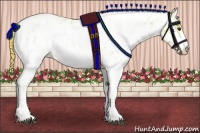 Horse Color:Watercolor Liver Red Onyx Sabino Appaloosa Rabicano