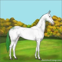 Horse Color:Watercolor White Spotted Bay Ice 