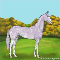 Horse Color:Watercolor White Spotted Silver Bay Ice Sabino 