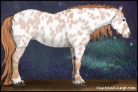 Horse Color:Watercolor Red Dun Sabino Appaloosa