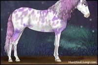 Horse Color:Watercolor Bay Onyx Sabino Appaloosa 