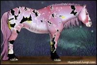 Horse Color:Watercolor White Spotted Chocolate Palomino Onyx Sabino Appaloosa 