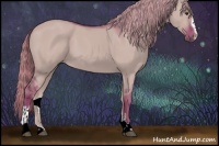 Horse Color:Watercolor Chocolate Palomino Dun Sabino