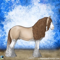 Horse Color:Liver Red Dun Pearl Sabino Splash