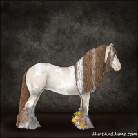 Horse Color:White Spotted Bay Pearl Dun