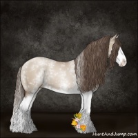 Horse Color:White Spotted Grullo Pearl Splash