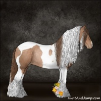 Horse Color:Brown Pearl Tobiano Rabicano