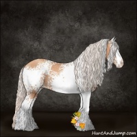 Horse Color:White Spotted Silver Sable Champagne 