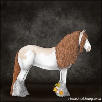 Horse Color:Classic Champagne Ice Pearl Splash Frame 