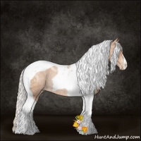 Horse Color:Silver Bay Ice Pearl Tobiano Rabicano 