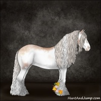Horse Color:Silver Bay Ice Pearl Onyx Sabino Splash Frame Rabicano 