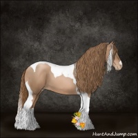 Horse Color:Liver Chestnut Pearl Tobiano