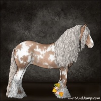 Horse Color:White Spotted Silver Black Pearl Sabino Rabicano 