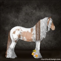 Horse Color:White Spotted Brown Pearl Tobiano Rabicano