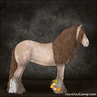 Horse Color:Brown Ice Pearl Rabicano