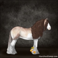 Horse Color:Brown Ice Pearl Onyx Splash 
