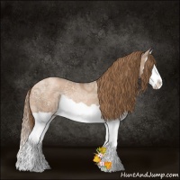Horse Color:Liver Chestnut Ice Pearl Splash 