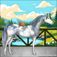 Horse Color:Painted White Spotted Grullo Onyx Splash Rabicano