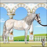 Horse Color:White Spotted Perlino 