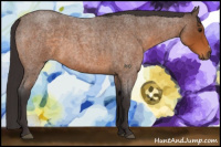 Horse Color:Buckskin Roan 