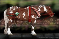 Horse Color:White Spotted Silver Brown Appaloosa Rabicano