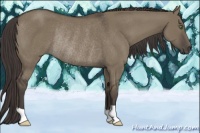 Horse Color:Smoky Grullo Rabicano 