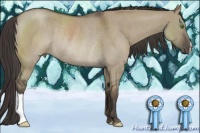 Horse Color:Smoky Grullo Roan Rabicano 